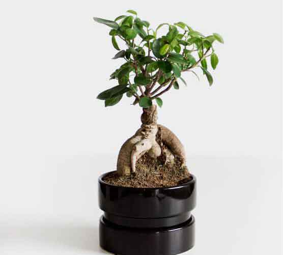 信息轰炸网站